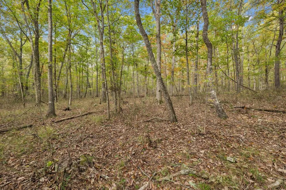 0 Timberwood Trace Monteagle, TN 37356