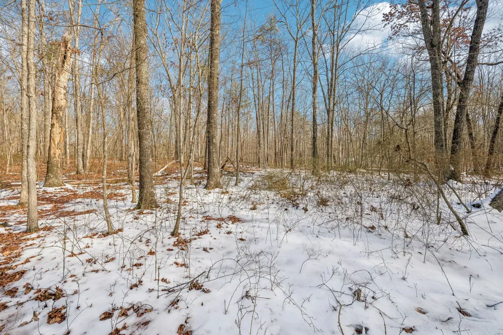 0 Timberwood Trace Monteagle, TN 37356