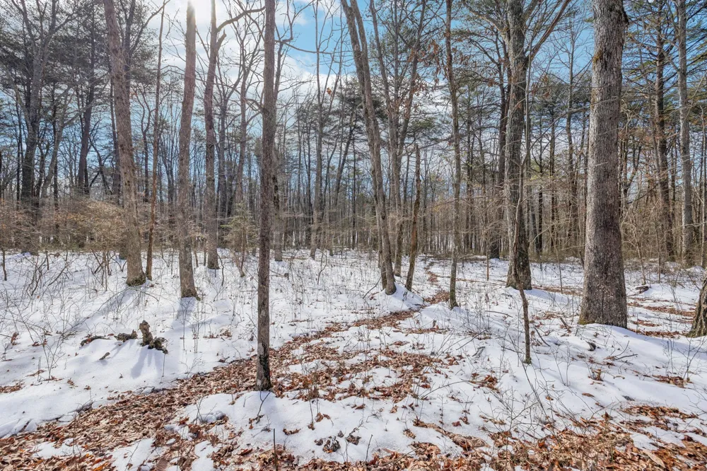0 Timberwood Trace Monteagle, TN 37356