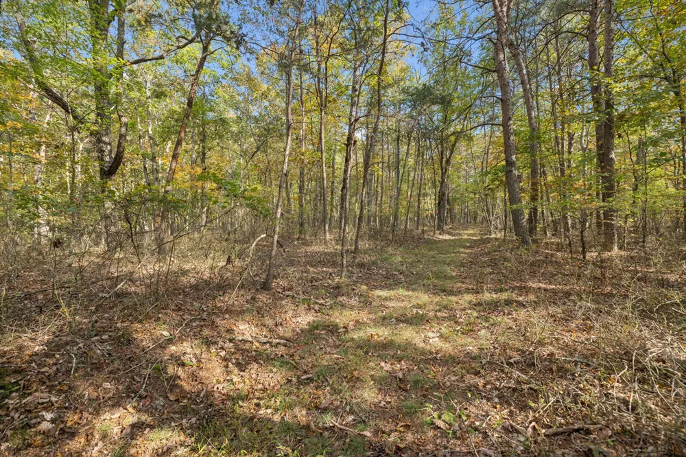 0 Timberwood Trace Monteagle, TN 37356