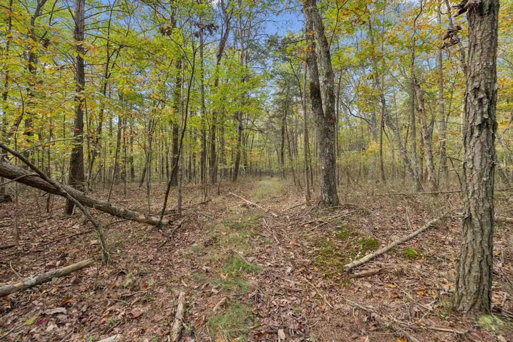 0 Timberwood Trace Monteagle, TN 37356