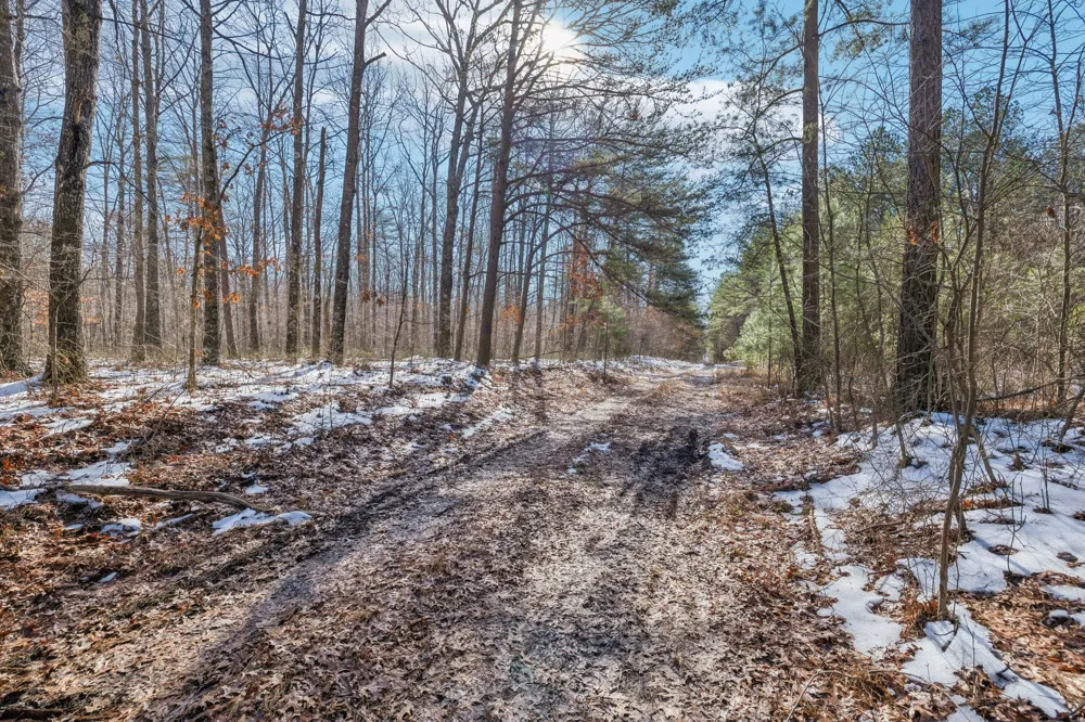0 Timberwood Trace Monteagle, TN 37356