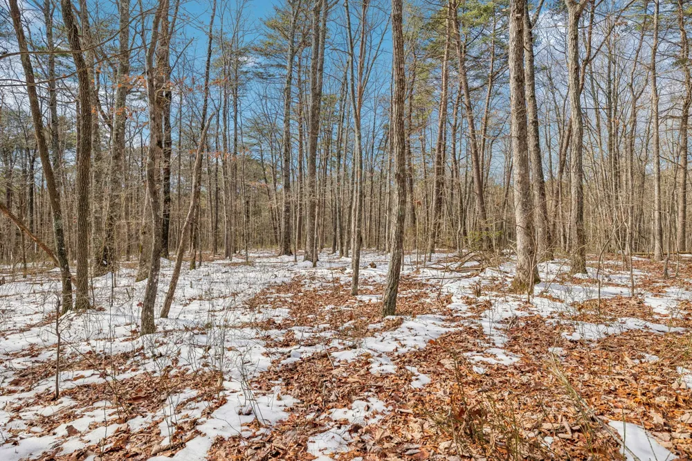 0 Timberwood Trace Monteagle, TN 37356