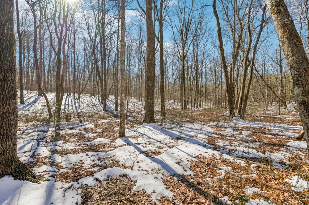 0 Timberwood Trace Monteagle, TN 37356