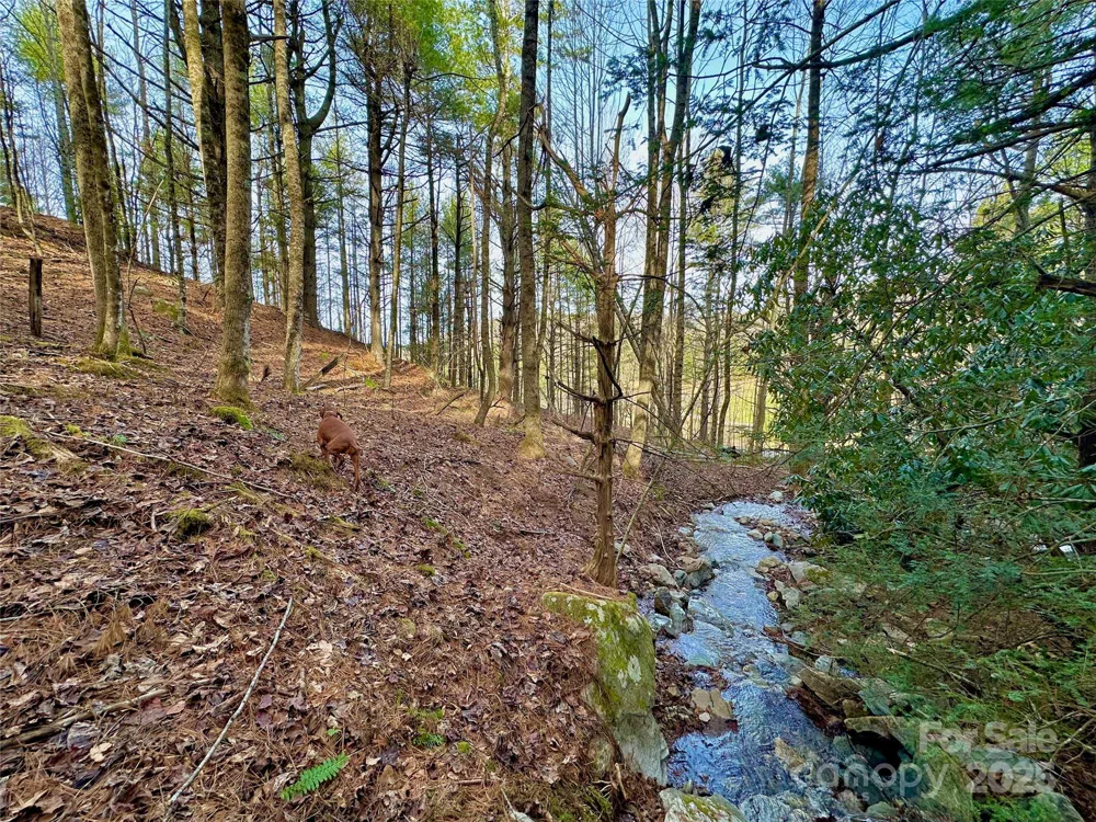 TBD George Hayes Road Boone, NC 28607