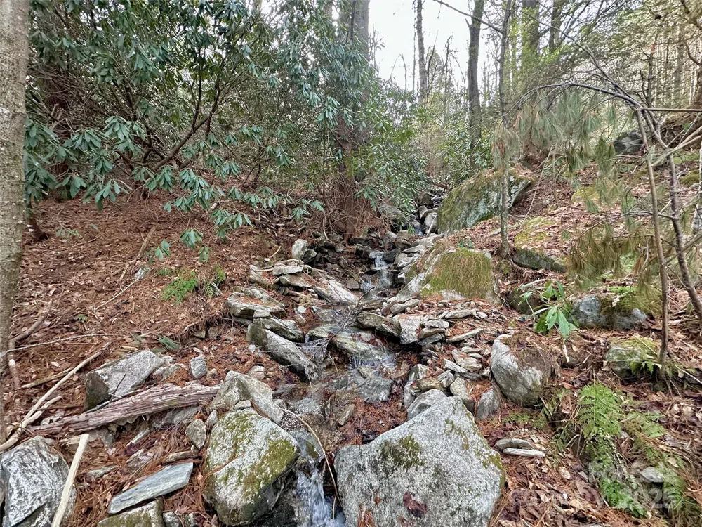 TBD George Hayes Road Boone, NC 28607