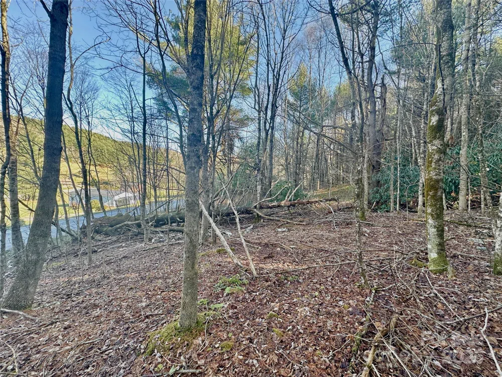 TBD George Hayes Road Boone, NC 28607