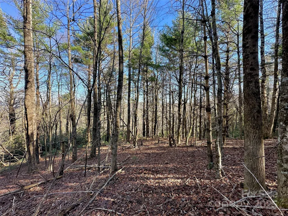 TBD George Hayes Road Boone, NC 28607
