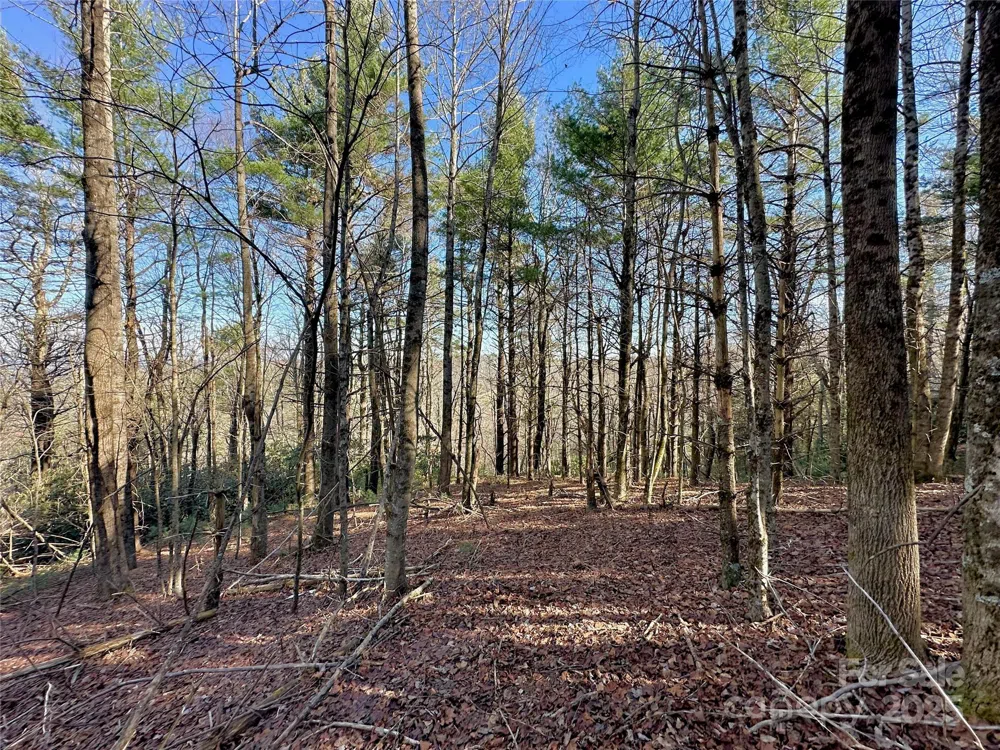 TBD George Hayes Road Boone, NC 28607