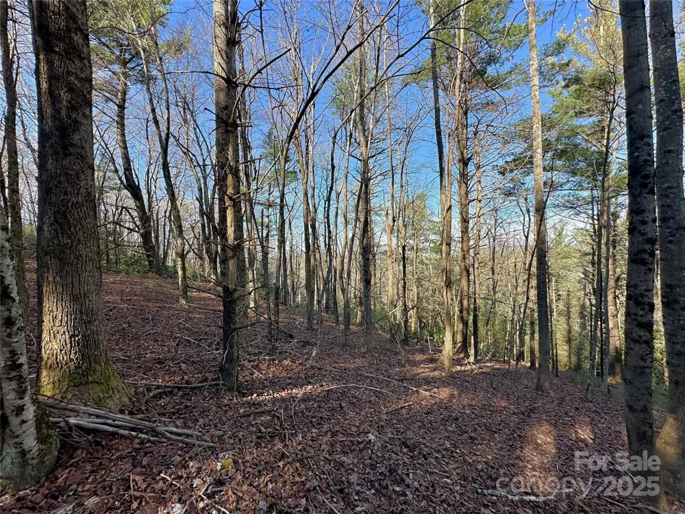 TBD George Hayes Road Boone, NC 28607