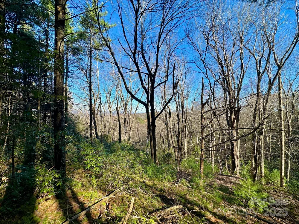 TBD George Hayes Road Boone, NC 28607