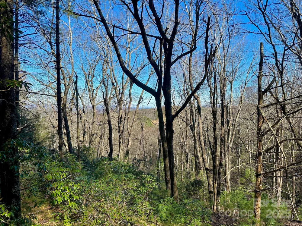 TBD George Hayes Road Boone, NC 28607