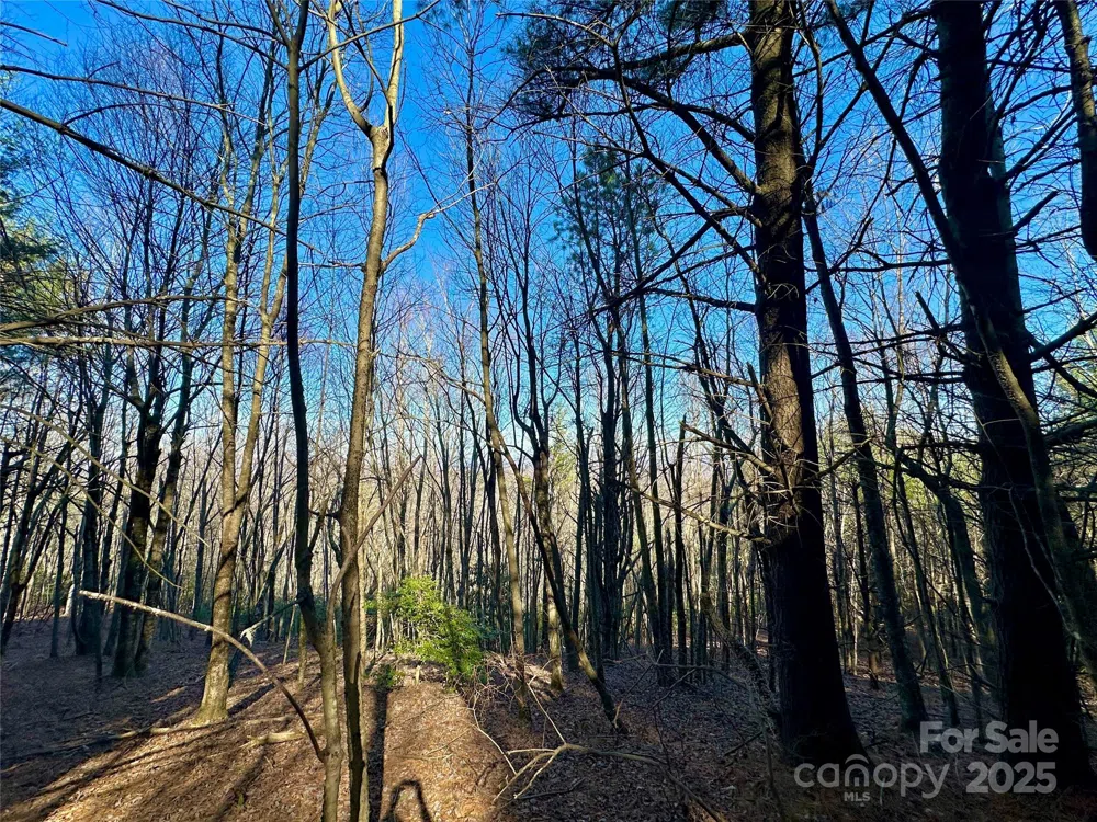 TBD George Hayes Road Boone, NC 28607