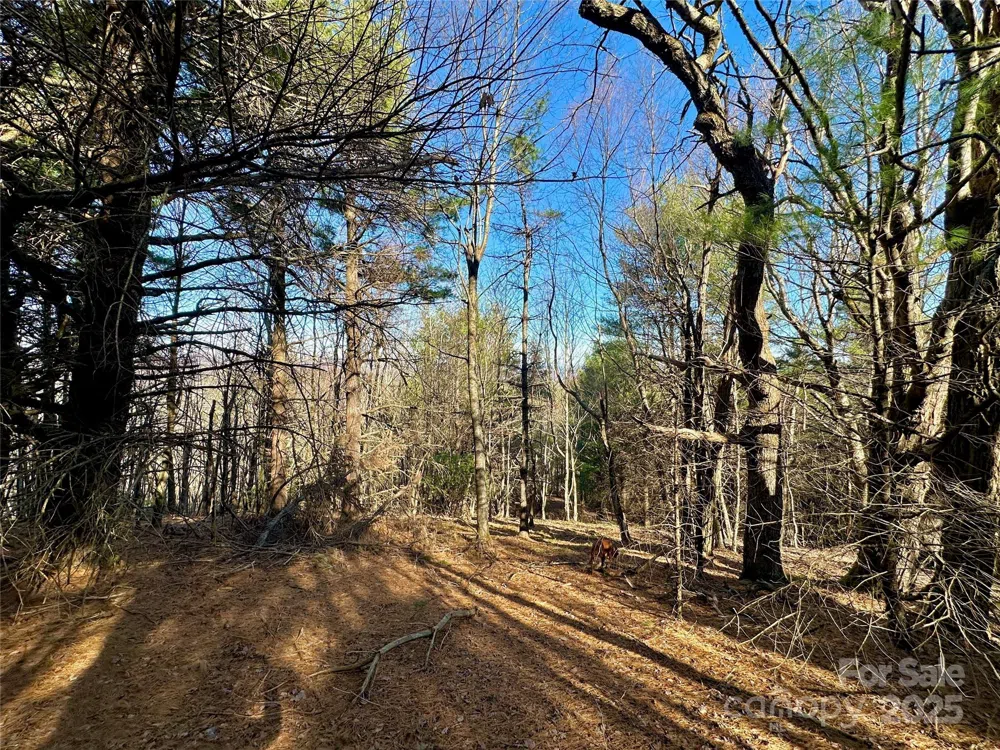 TBD George Hayes Road Boone, NC 28607