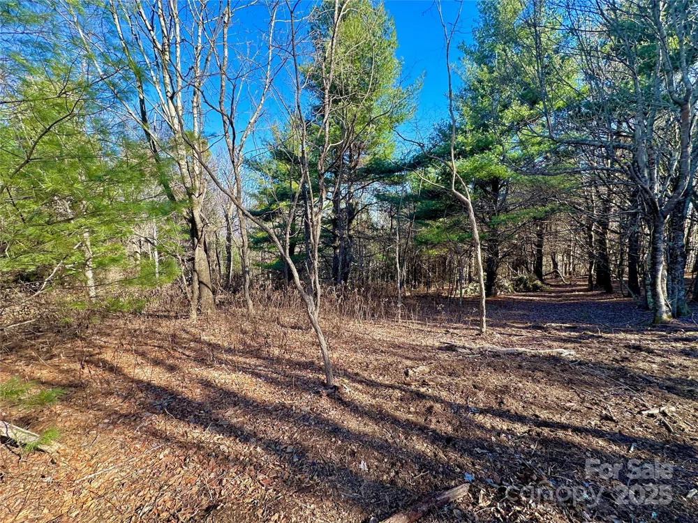 TBD George Hayes Road Boone, NC 28607