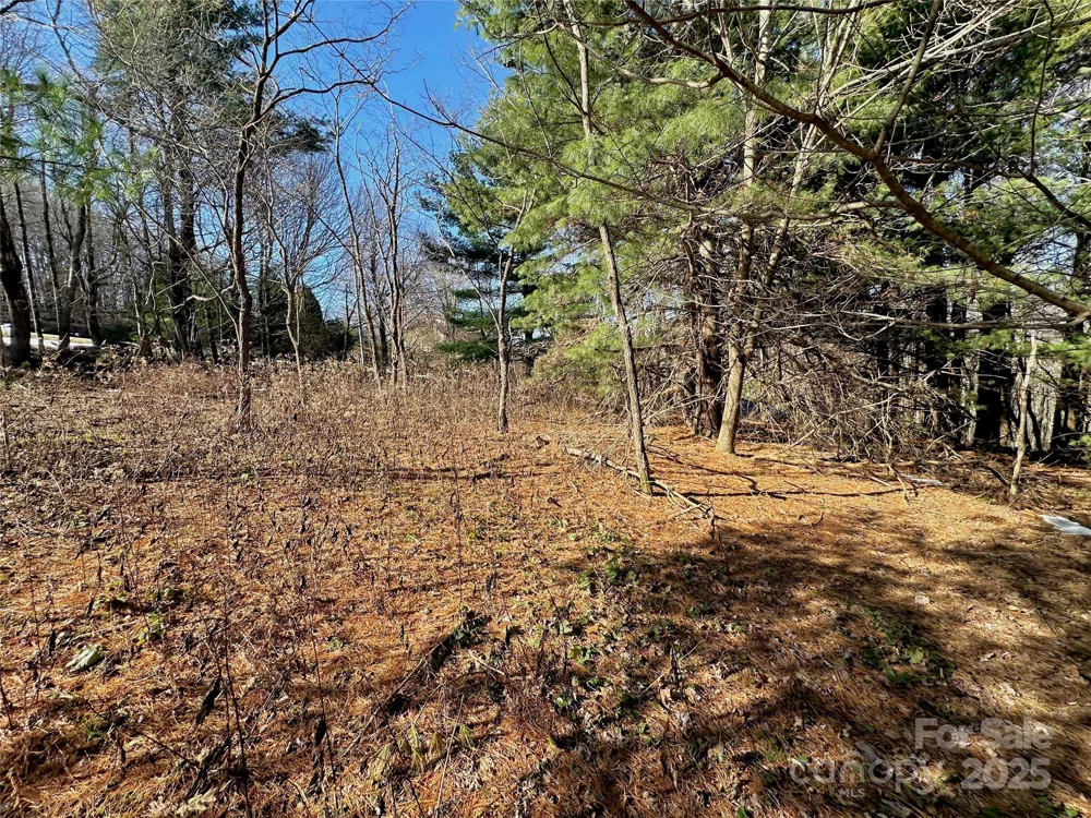 TBD George Hayes Road Boone, NC 28607