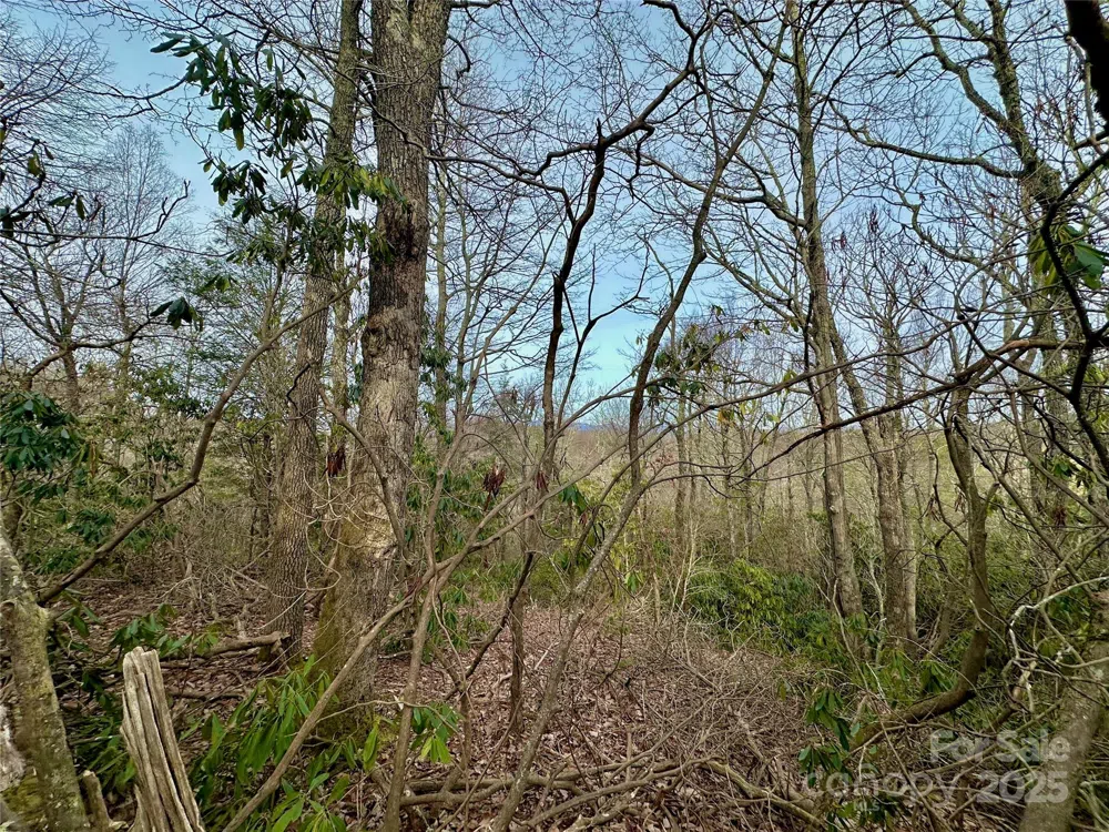 TBD George Hayes Road Boone, NC 28607