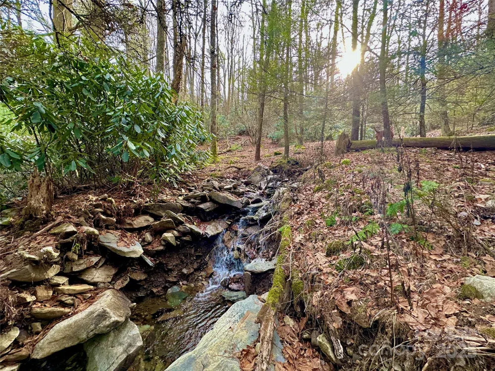 TBD George Hayes Road Boone, NC 28607