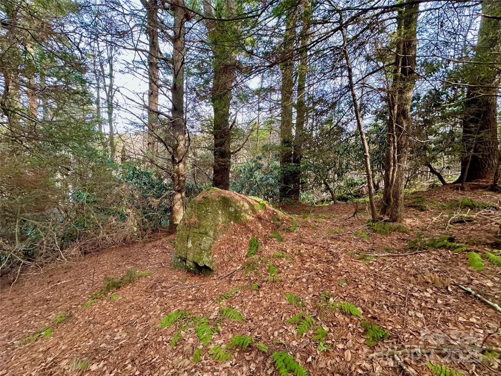 TBD George Hayes Road Boone, NC 28607