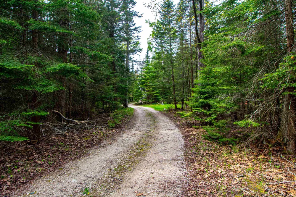 33171 Mrs Reddings Trail Peaine Township, MI 49782