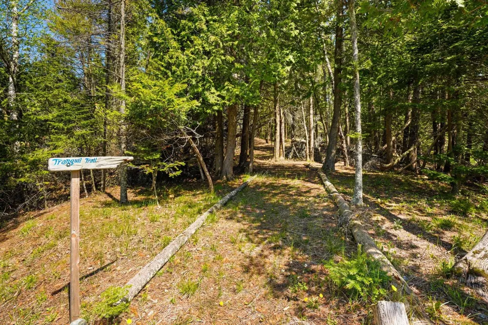 33171 Mrs Reddings Trail Peaine Township, MI 49782