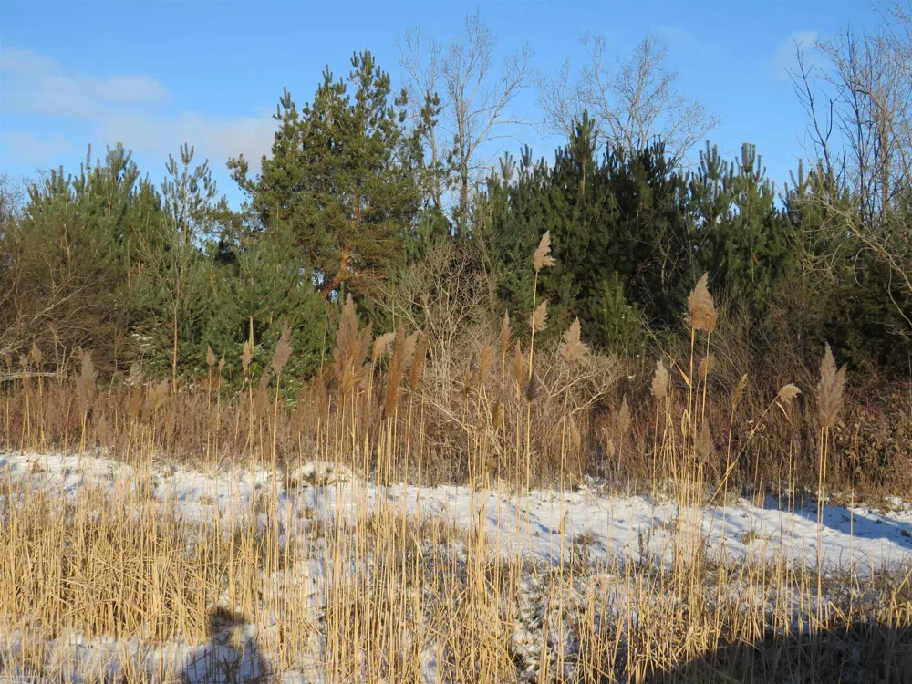 65002 Gratiot Road Lenox Township, MI 48050