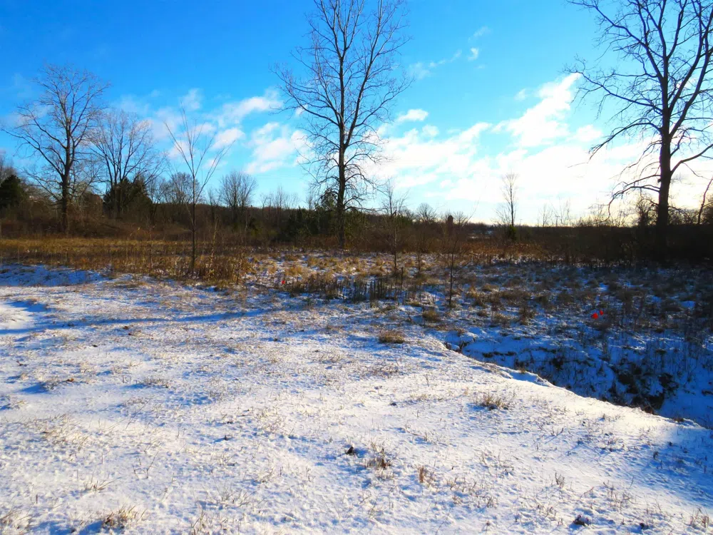 65002 Gratiot Road Lenox Township, MI 48050