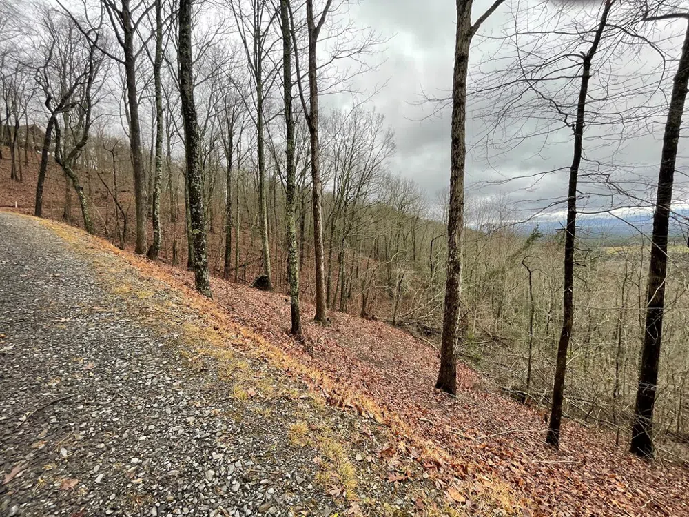 Magestic View Circle Murphy, NC 28906