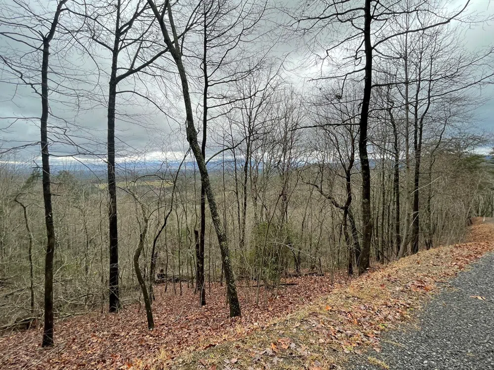Magestic View Circle Murphy, NC 28906