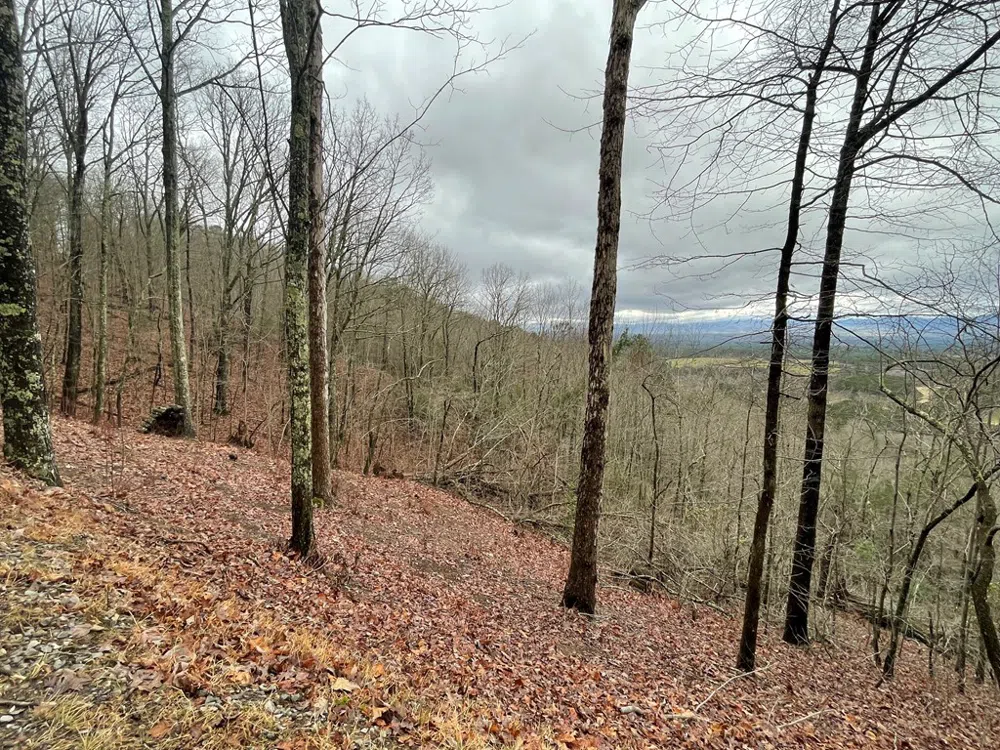 Magestic View Circle Murphy, NC 28906