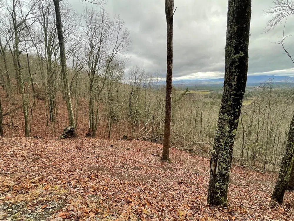 Magestic View Circle Murphy, NC 28906