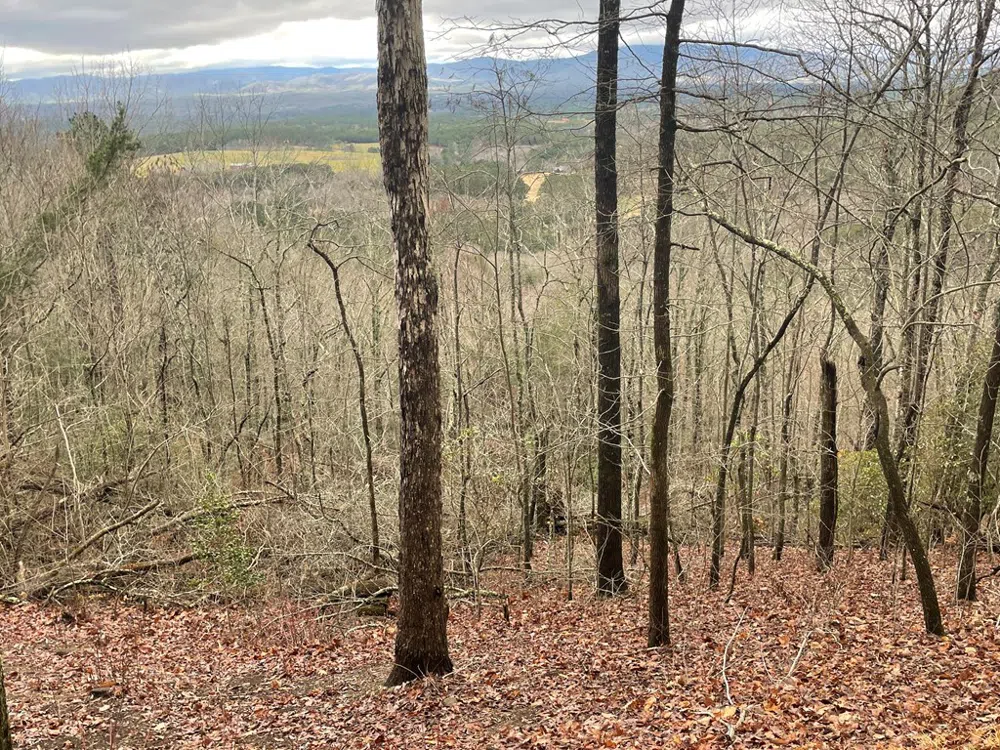 Magestic View Circle Murphy, NC 28906