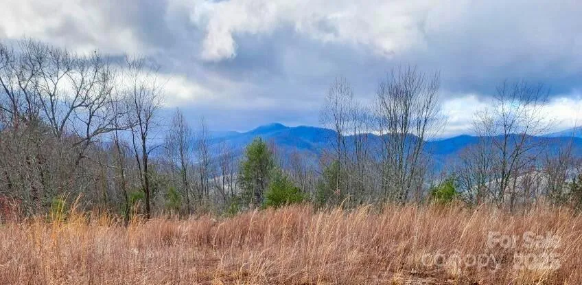 255 Clearview Lane #12 Marshall, NC 28753