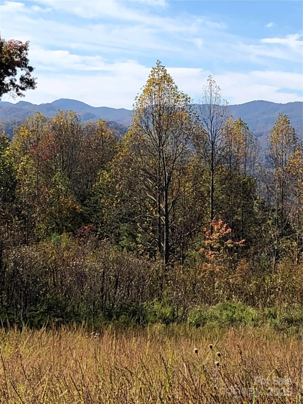 255 Clearview Lane #12 Marshall, NC 28753