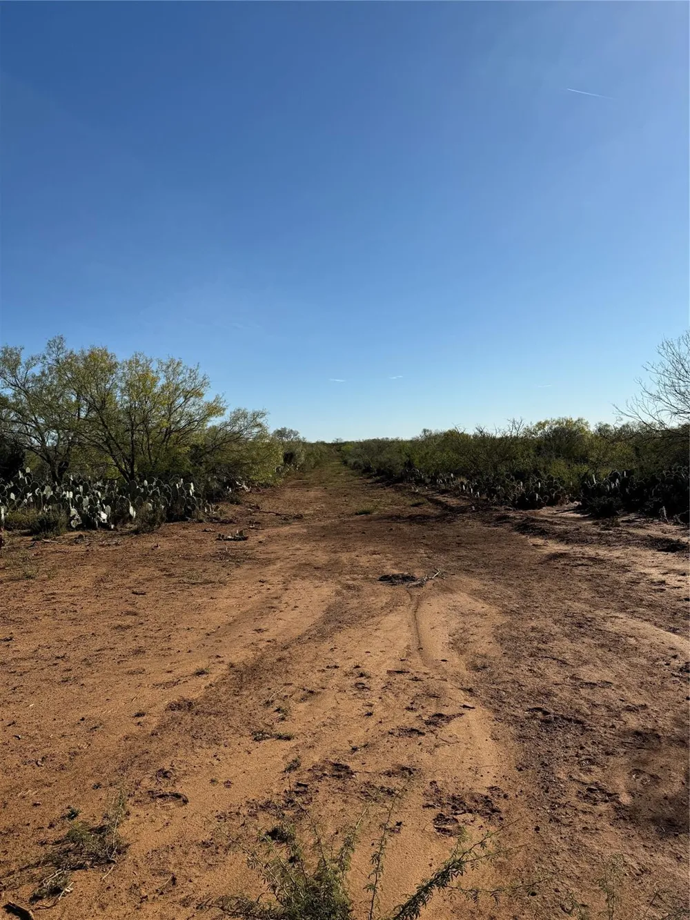 6 County Road 300 Jourdanton, TX 78026