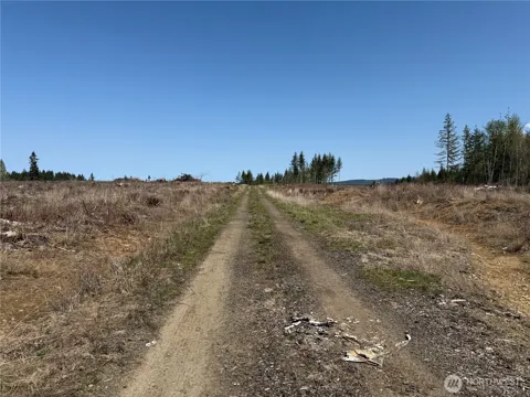 3 XX Centralia Alpha Road