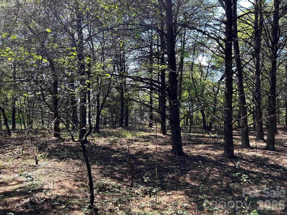 00 Gilbert Road Vale, NC 28168