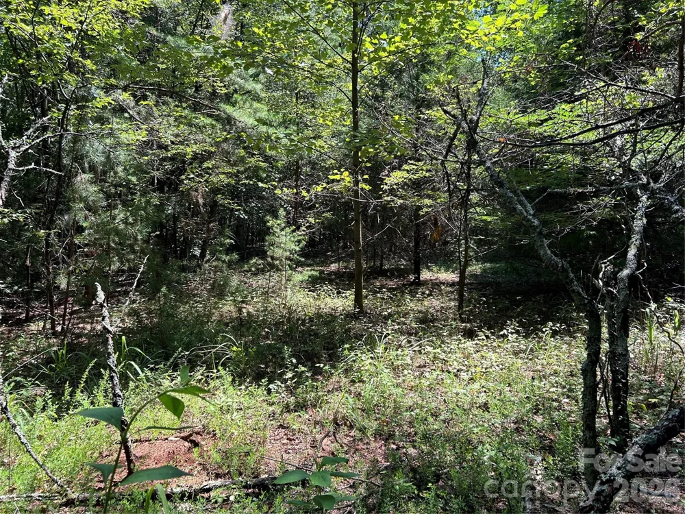 00 Gilbert Road Vale, NC 28168