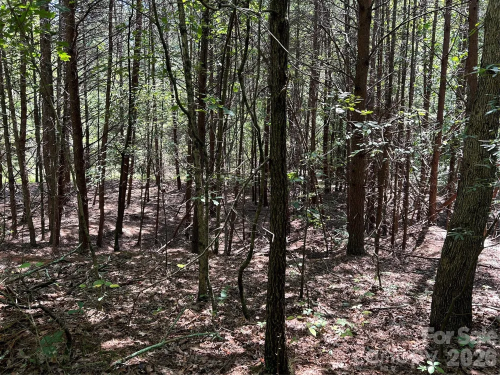 00 Gilbert Road Vale, NC 28168