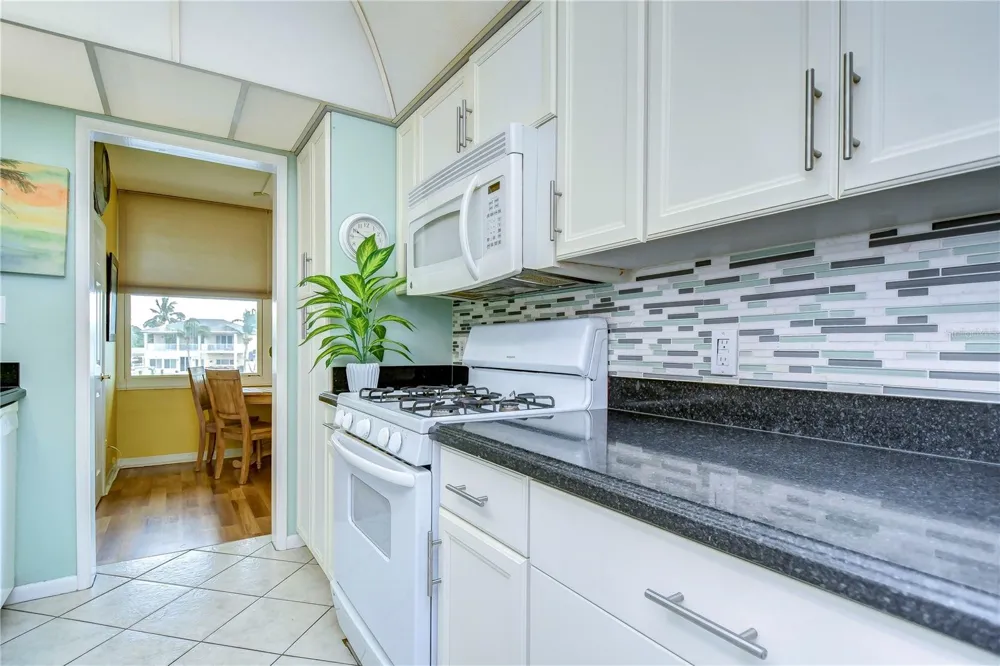 1893 SHORE DRIVE S #206 South Pasadena, FL 33707