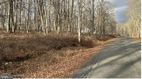DOE LOOP
