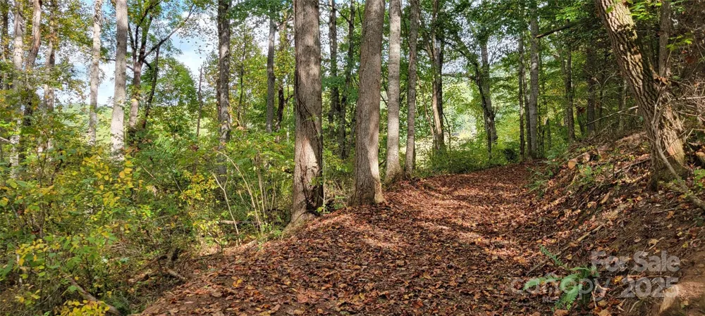 43 Dodder Lane Cullowhee, NC 28723