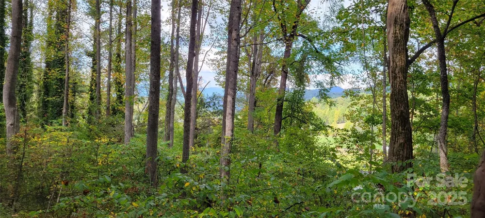 43 Dodder Lane Cullowhee, NC 28723