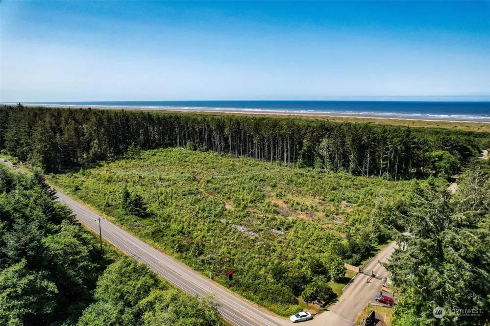 2 Dolphin Lane Copalis Beach, WA 98535