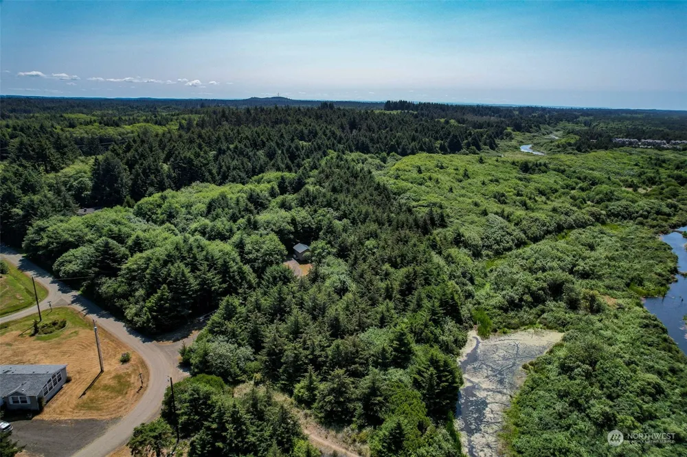 2 Dolphin Lane Copalis Beach, WA 98535