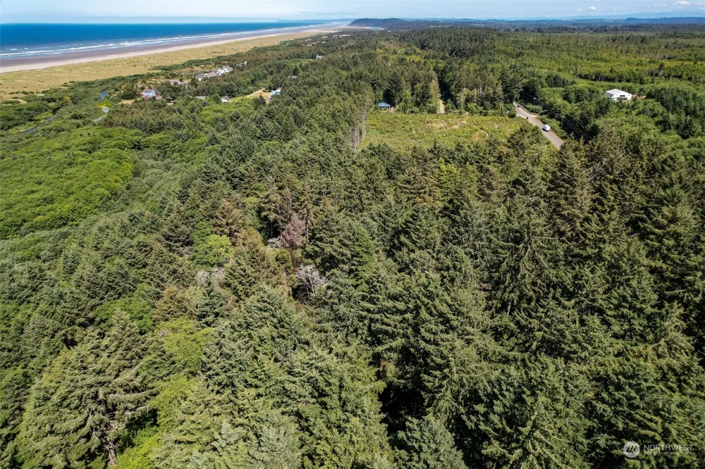 2 Dolphin Lane Copalis Beach, WA 98535
