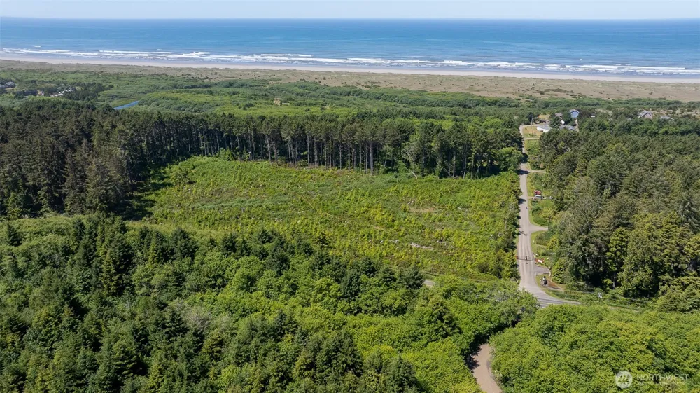 2 Dolphin Lane Copalis Beach, WA 98535