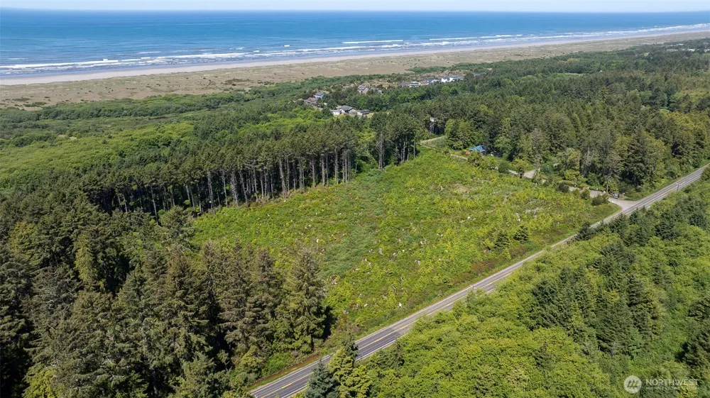 2 Dolphin Lane Copalis Beach, WA 98535