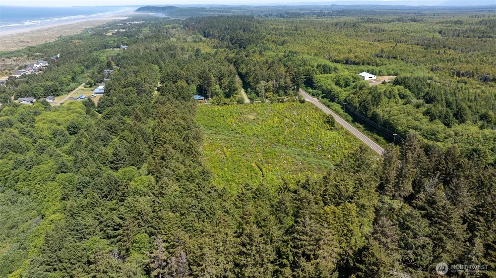 2 Dolphin Lane Copalis Beach, WA 98535