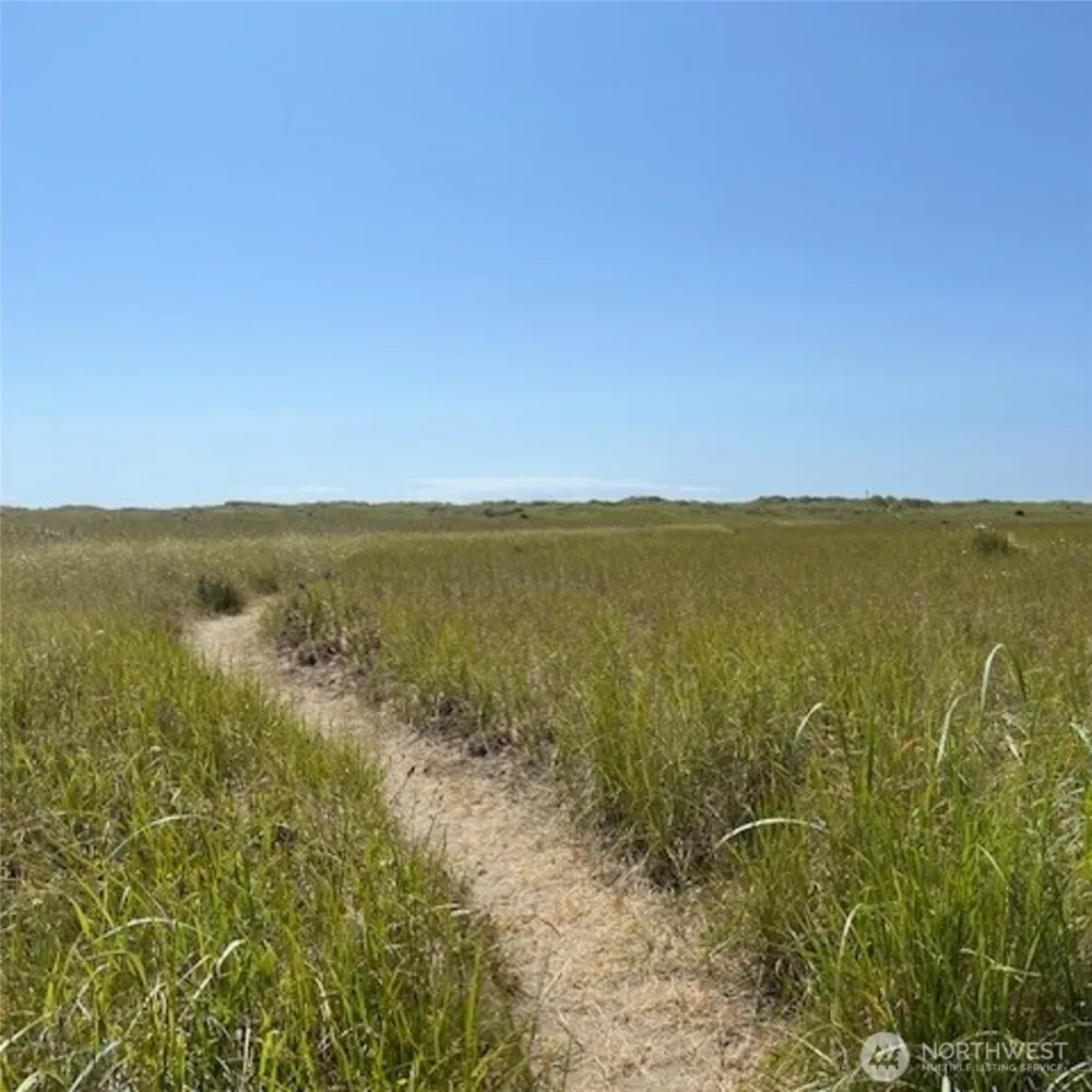 2 Dolphin Lane Copalis Beach, WA 98535